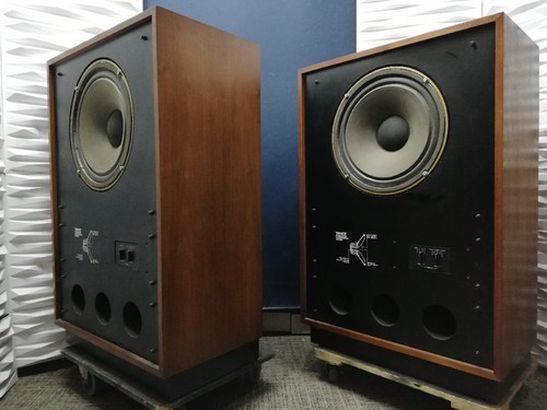 Arden early alnico - alnico, dual