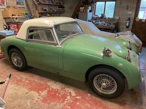 Austin healey frogeye sprite - healey,