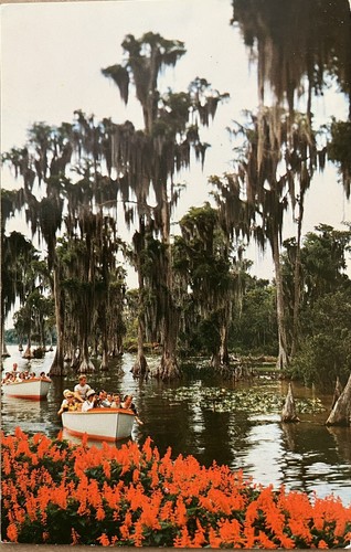 Florida cypress gardens - florida,