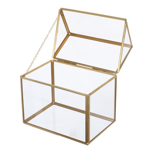 Terrarium for ferns small - terrarium,