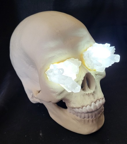Human skull crystal - human,