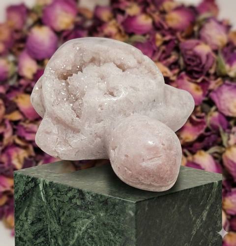 Crystal turtle pink - crystal,