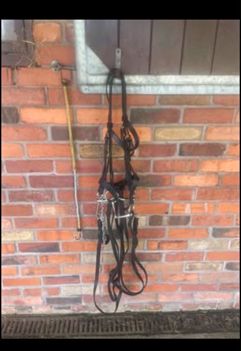Black double bridle size full
