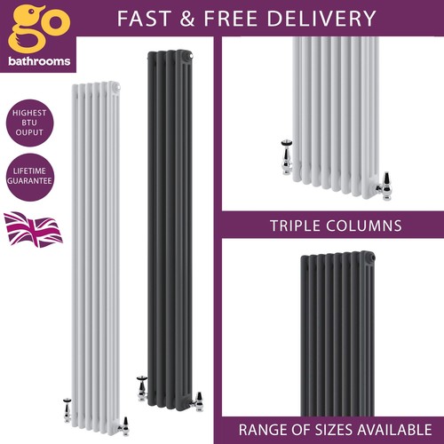 Traditional radiator vertical - traditional,
