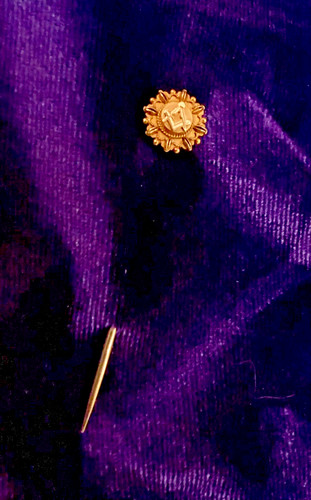 Stunning antique masonic lapel - stunning,
