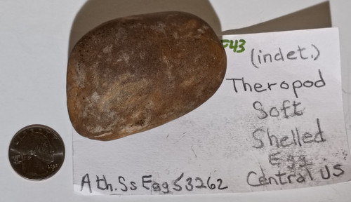 Therapod soft shelled - soft,