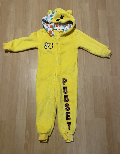 Pudsey bear children - bear, in