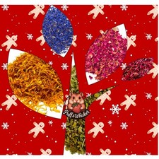 [Forage Bundle] Mini Sample Box