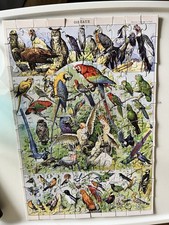 Birds - 100 pc Jigsaw Puzzle