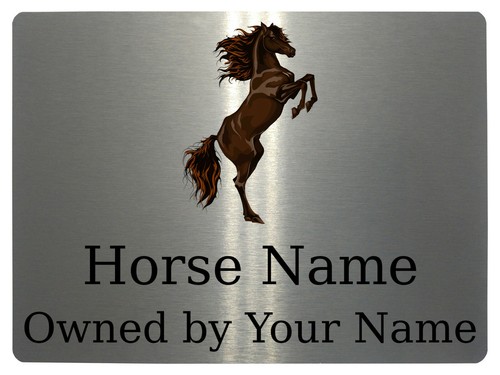 347 custom personalised horse - custom,
