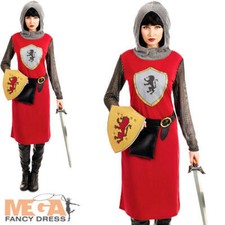 Knightess Ladies Fancy Dress