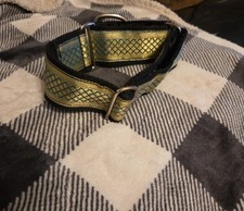 Greyhound Martingale Collar - New Large