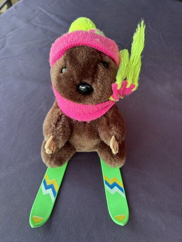 Rare beaver marmot groundhog - beaver,