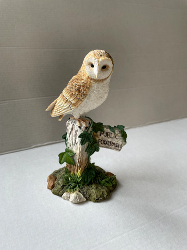 Barn owl macneil british - owl,
