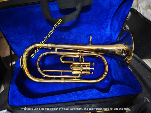 Baritone made pure - baritone,