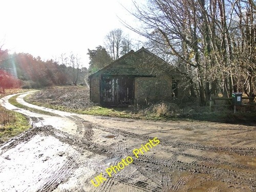 Photo 6x4 old - photo,