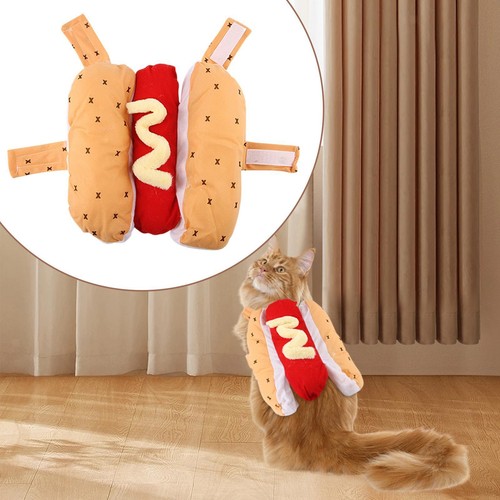 Dog hot costume funny - hot,