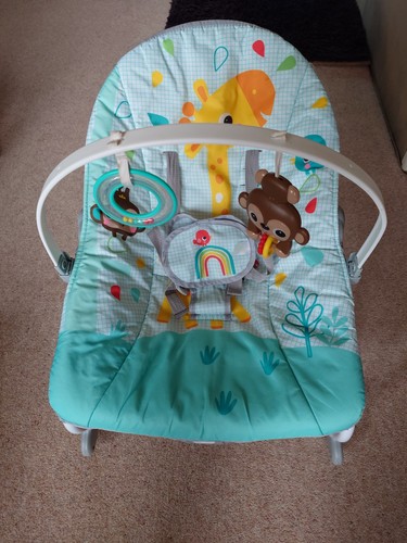 Twin baby bouncer - bouncer, rocker