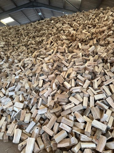 Wholesale firewood 85m3 - wholesale,
