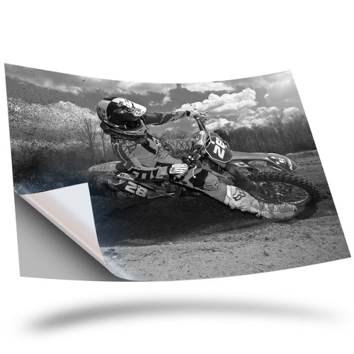 Vinyl sticker bw - sticker,