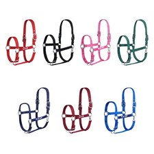 Gallop Horse Masters Best On