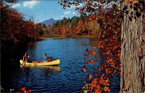 Vintage postcard autumn - vintage,