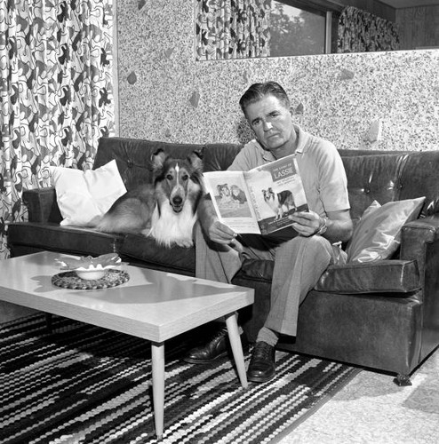 Lassie series featuring a - a,