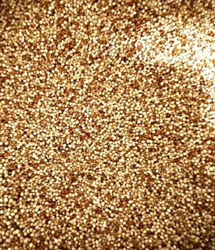 Mixed millet seed for - seed,