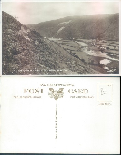 The stag rheidol valley - stag, near