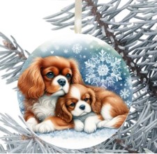 King Charles Cavalier Spaniel