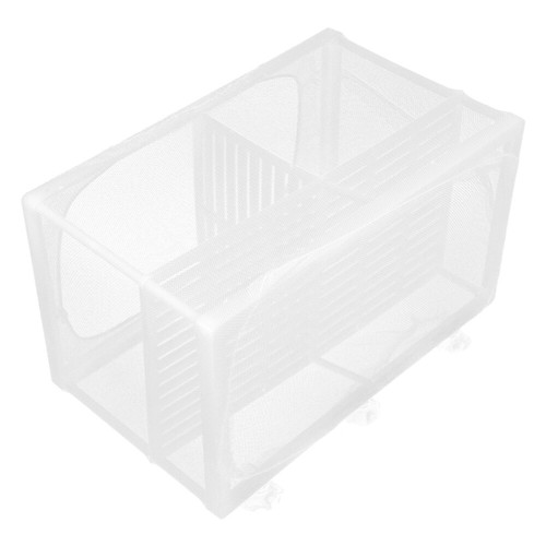 Baby angel fry holding tank - baby,