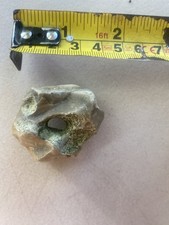 Hag Stone/ Lucky Stone