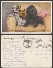 MABEL GEAR 1952 Old Postcard Sealyham Terrier Cairn, Cocker Spaniel Dogs Puppies