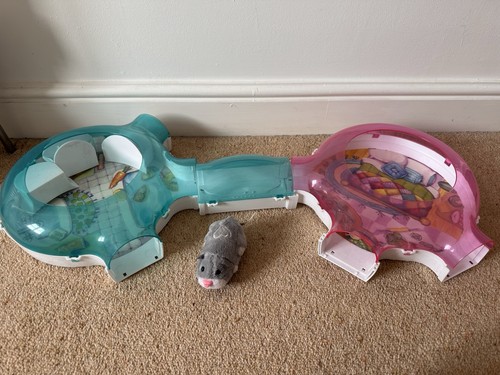 Zhu pets - zhu,