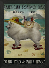 American Eskimo Dog Beach