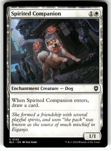 Spirited companion 155 - companion, common