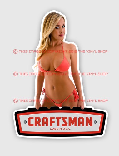 Tool box craftsman - box, hot