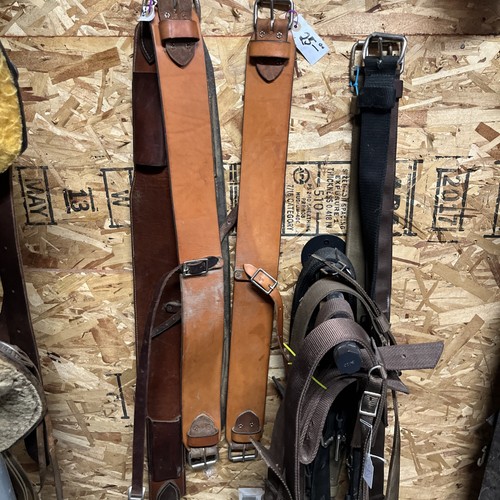 Light oil rear cinch - rear, center