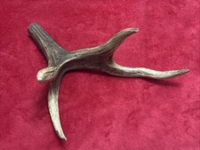 ONE PIECE OF DEER ANTLER