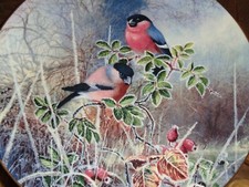 Coalport Collectors Plate BULLFINCHES From FROSTY MORNINGS