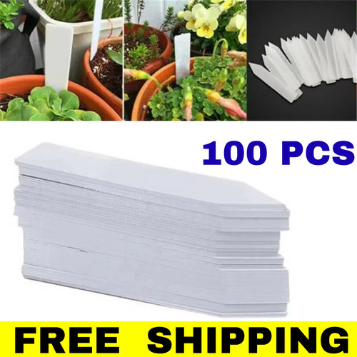 100 plant label - plant,