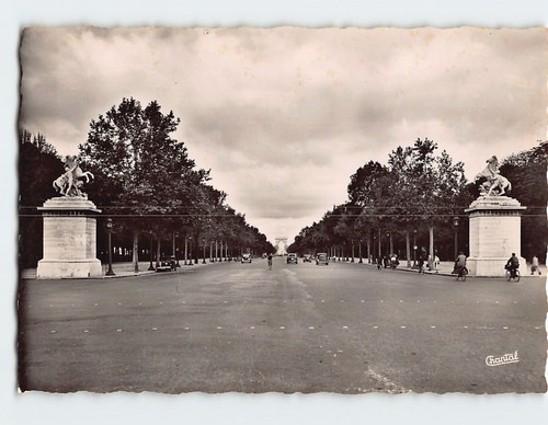 Postcard the horses marly - postcard,