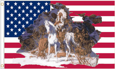 Native American Chief on