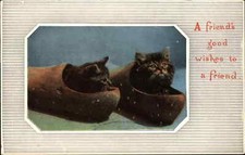 Adorable Fluffy Kittens Kitty