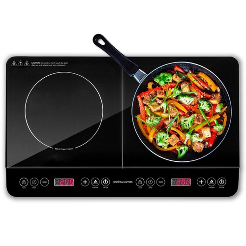 Portable double induction hob - portable,