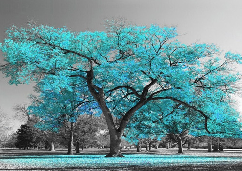Large tree turquoise teal - turquoise,
