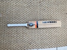 Newbery The Master 100 Junior Size 6 Cricket Bat