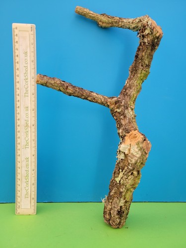 Cork bark branch - 38cm, snake
