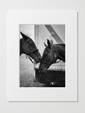 Mounted Photograph – Race