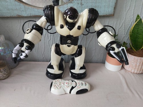 Wow wee robosapien - wow,